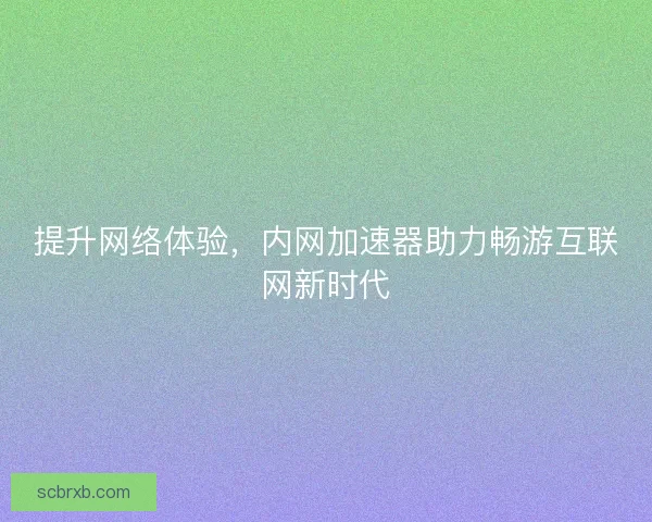 提升网络体验，内网加速器助力畅游互联网新时代